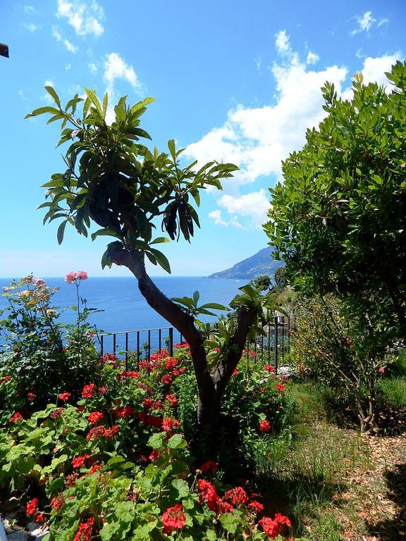 Amalfi View Cottage 외부 사진